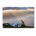 Trademark Fine Art Dan Mirica 'Chamois In Piatra Craiului Romania' Canvas Art, 30x47 1X00386-C3047GG